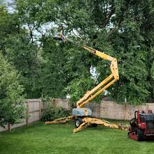 Best Tree Maintenance Programs  in Moroni, UT